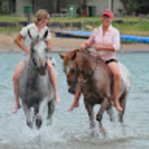 Meet your Posher, Jane